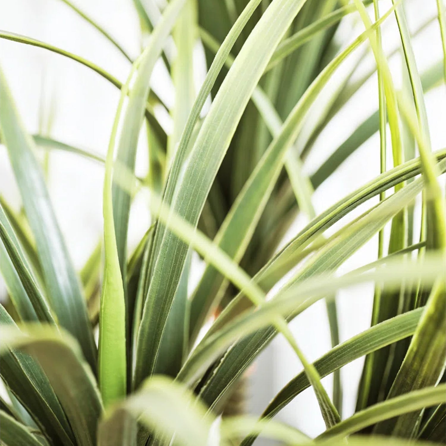 Artificial Yucca Tree in Pot – Realistic Faux Indoor Floor Plant for Home & Office Décor