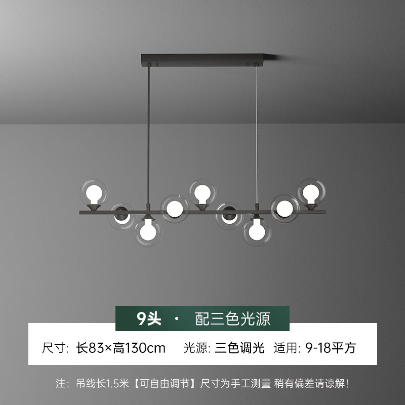 Mid-Century Glass Globe Black Stents Hanging Light