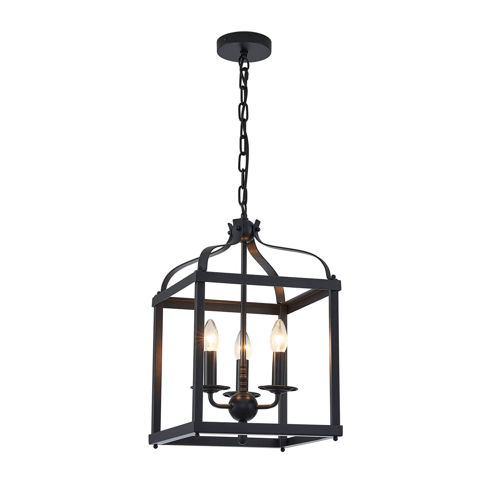 Rustic Black Iron Caged Pendant Light