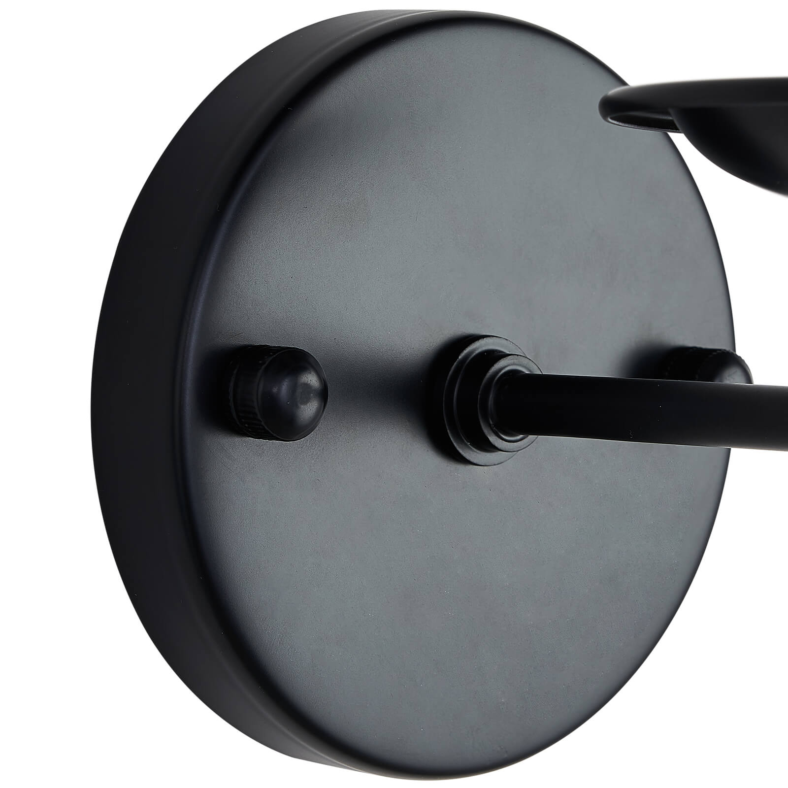 Night Rose Single Head Light Wall Lamp