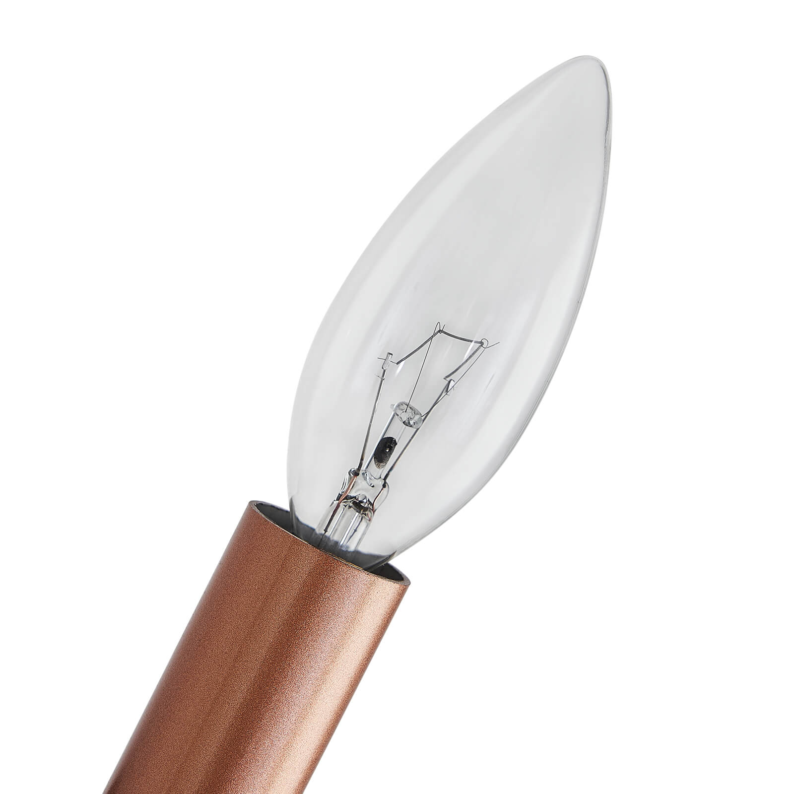 Night Rose Single Head Light Wall Lamp