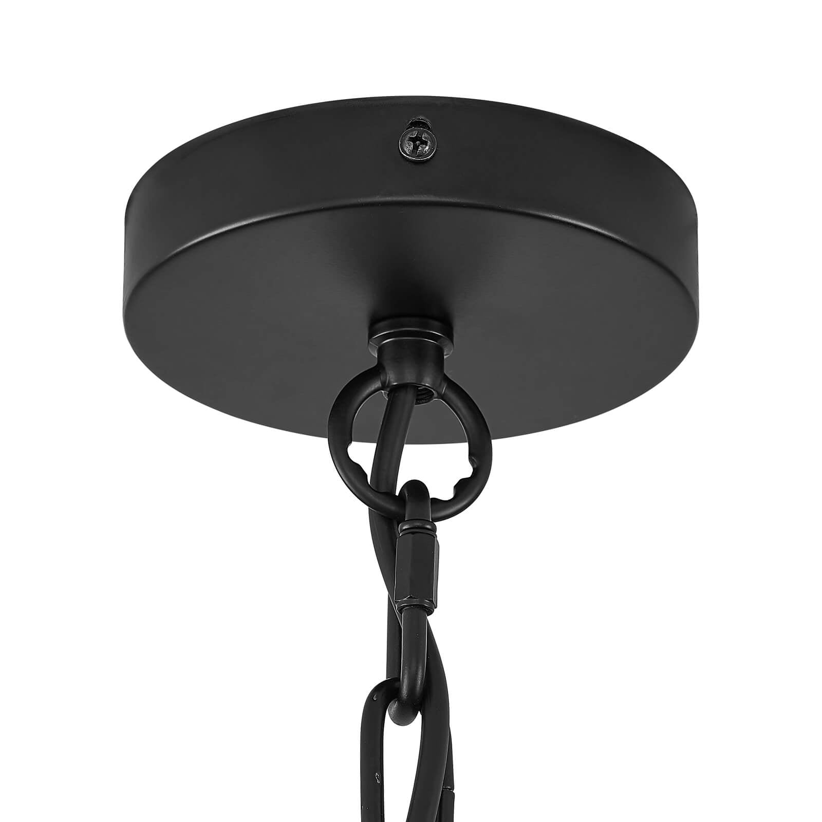 Rustic Black Iron Caged Pendant Light